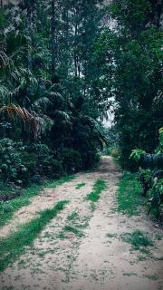 Anya Retreats Nature Homestay - Kushalnagar - 6