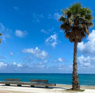 Sea and Sun - Savona - Savona - 0