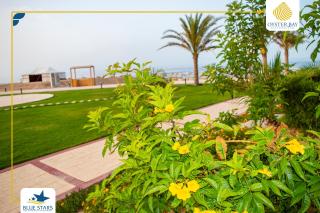 Oyster bay resort studio - Marsa Alam - 1