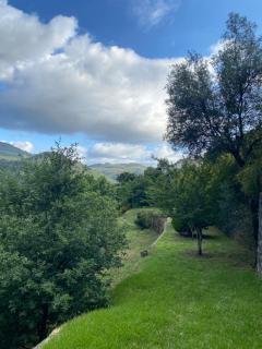 Perfect Getaway in the Heart of Nature - Lordelo - 4
