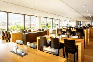Midori - The Green Guesthouse - Dossenheim - 1