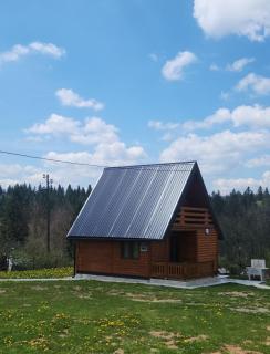 TAMARA - Brvnara za odmor - Han Pijesak - 8