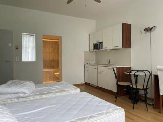 Renovated Apartment Near Zurich Lake Sees - Zurigo - 3
