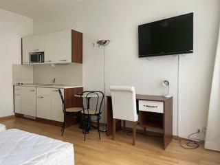 Renovated Apartment Near Zurich Lake Sees - Zurigo - 1