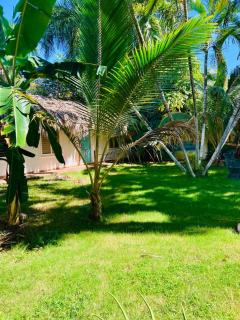 The Coco Garden Cabin - Las Galeras - 7