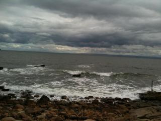 Pebbles Cottage - Cellardyke - 4