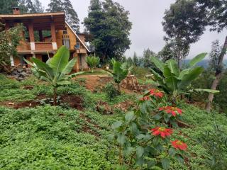 Chameleon Eco Farm Stay and Cultural Tours - Lushoto - 9