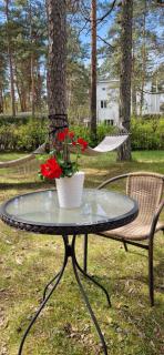 Freedom65 Hostel and Caravan - Tallinn - 9