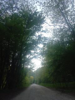 Sul Collagù - Farra di Soligo - 1