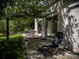 Maison sous le noyer - Montessut - 9