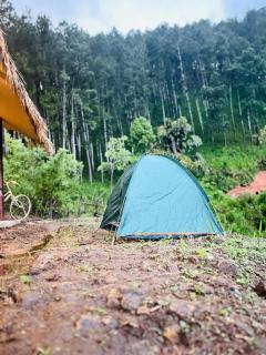 Cindrella Sky Nest Camp Ella - Ella - 8