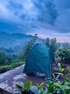 Cindrella Sky Nest Camp Ella - Ella - 6