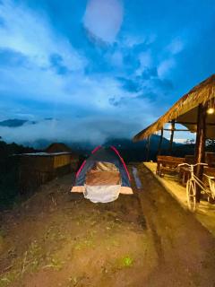 Cindrella Sky Nest Camp Ella - Ella - 1
