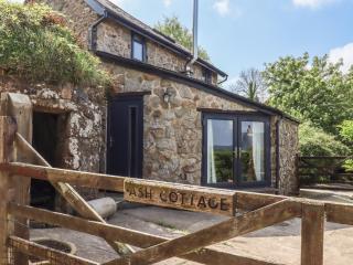 Ash Cottage - Newton Abbot - 9