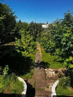 Cyrus House - Le Mans - 7