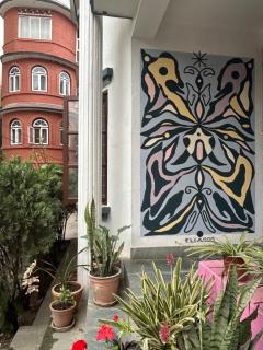 DRAKON NEST HOMESTAY - Katmandou - 8