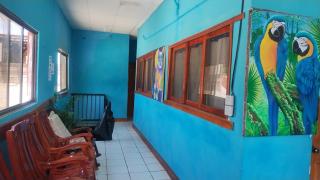 Hostal Javier's House sjs - San Juan del Sur - 8