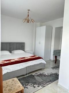 Visi's Home - Pogradec - 0