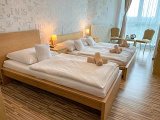Hotel Modena - Bratislava - 6