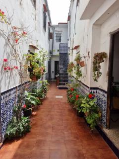 Nuevo apartamento en el centro - El Puerto de Santa María - 7