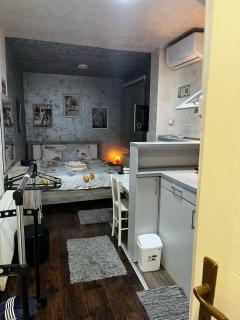 Apartman Park Kragujevac - Kragujevac - 0