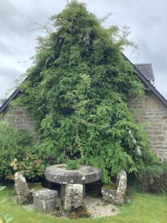 Romantic Cottage - Vire - 8