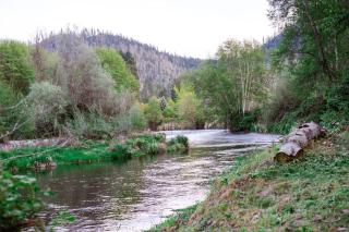 Cozy Wild West Covered Wagon next to River - Grants Pass - 8