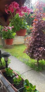 Apartmani V&F - Vrnjačka Banja - 7