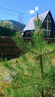 Gloriosa Chalet - Voronet - 1