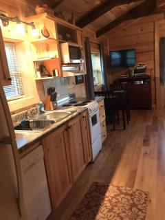 Moore Road Cabin 1 Pet Friendly - Tryon - 4
