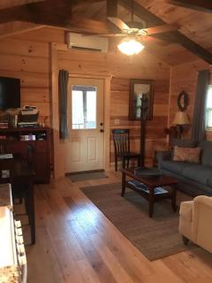 Moore Road Cabin 1 Pet Friendly - Tryon - 3