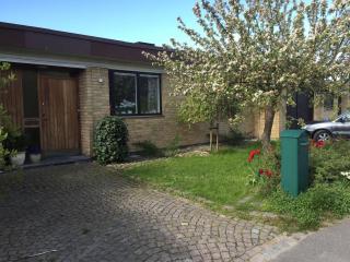 Fantastic house with a cute garden! - Malmö - 9