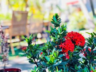 Charming 1BR Hollywood Apt – Sleeps 4 - Hollywood - 0