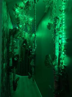La suite Oasis by PRIMO C0NCIERGERIE - Sury-le-Comtal - 9
