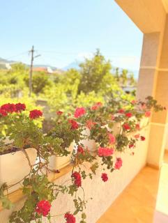 Anel's Guesthouse - Berat - 5