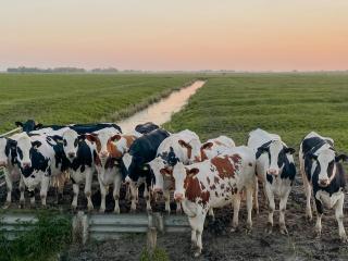 Maritime Holiday Home Secluded On The Dike - 7