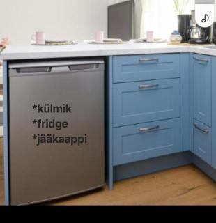 Aiaviisa apartment - Pärnu - 3