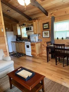Moore Road Cabin 2 Pet Friendly - Tryon - 3