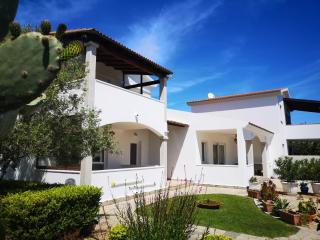 Sardegna - Villa Mirto & Flowers - Olbia - 8