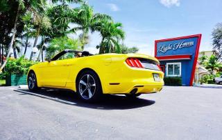 Cozy 2BR in Hollywood FL – Pet Friendly - Hollywood - 6