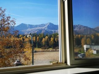 541 Fernie B.C. SKI BIKE FISH Cozy Condo w Queen and Kitchen - Fernie - 7
