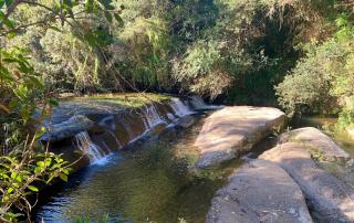 Fazenda Caminho do Ouro - São José do Barreiro - 6