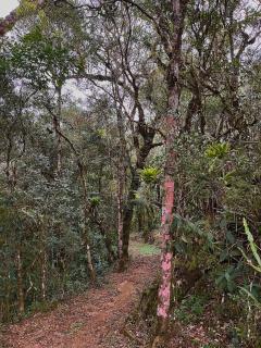 Fazenda Caminho do Ouro - São José do Barreiro - 4