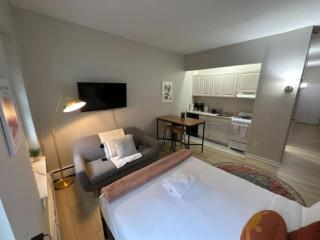 Lovely Studio Apt South End - Boston - 4