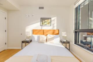 Wonderful 1BR in Mission Hill - Boston - 1