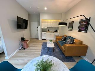 Spacious Studio Back Bay - Boston - 3