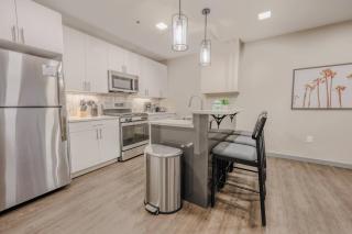 Charming 1 Bedroom Apt Laundry in Unit - 5