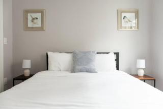 Simple 1BR steps to Boston Common and South End - Boston - 9