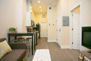 Downtown Loft Walk Anywhere Ideal for Nurses - Boston - 4