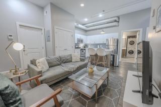 Pet Friendly Downtown Boston Elevator Washer Dryer - Boston - 4